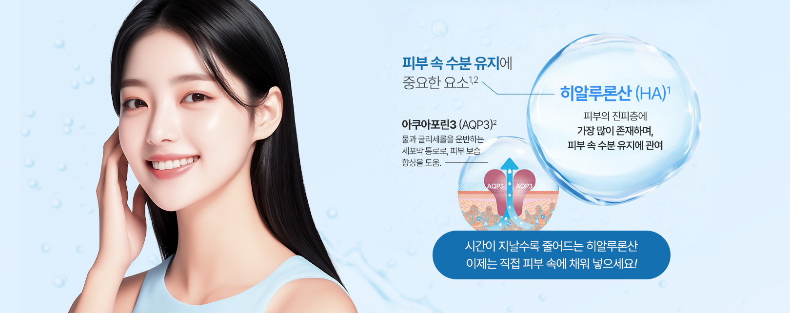 히알루론산 (HA)1 - 피부의 진피층에 가장 많이 존재하며, 피부 속 수분 유지에 관여 | 아쿠아포린3 (AQP3)2 - 물과 글리세롤을 운반하는 세포막 통로로, 피부 보습 향상을 도움. | 시간이 지날수록 줄어드는 히알루론산 이제는 직접 피부 속에 채워 넣으세요!